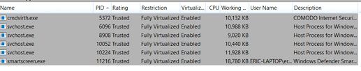 virtualized