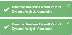 Dynamic Analysis