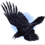 Ravenheart